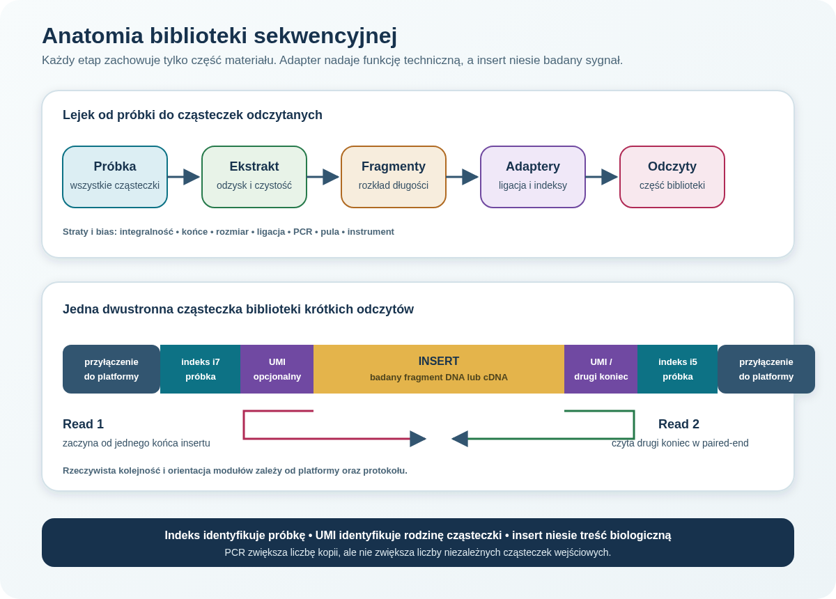 Biblioteka sekwencyjna składa się z insertu i elementów technicznych: miejsc przyłączenia, miejsc starterów, indeksów próbki oraz opcjonalnego UMI; kolejne etapy przygotowania wybierają tylko część cząsteczek wejściowych.