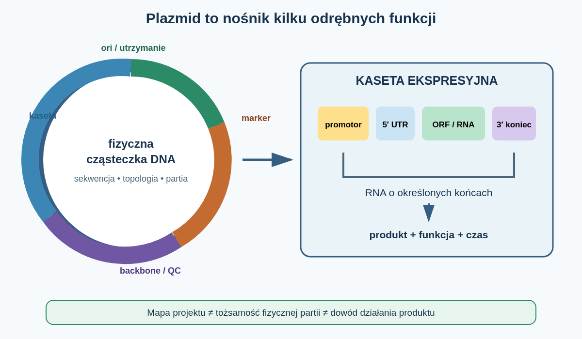 Plazmid składa się z modułów propagacji w gospodarzu i jednej lub wielu kaset funkcjonalnych. Promotor, UTR, ORF oraz terminacja opisują drogę do produktu, natomiast ori i marker nie są obojętnym tłem konstruktu.