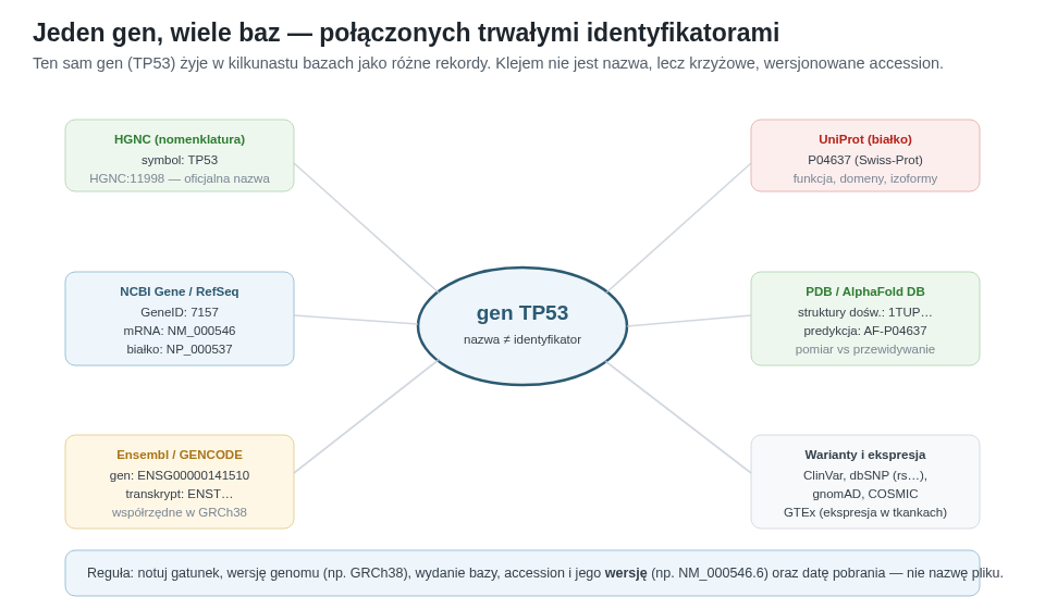 Jeden gen (TP53) opisany w kilkunastu bazach jako różne rekordy powiązane krzyżowymi identyfikatorami: HGNC (nomenklatura), NCBI Gene/RefSeq, Ensembl/GENCODE, UniProt, PDB/AlphaFold, ClinVar/gnomAD/GTEx. Klejem jest accession, nie nazwa.
