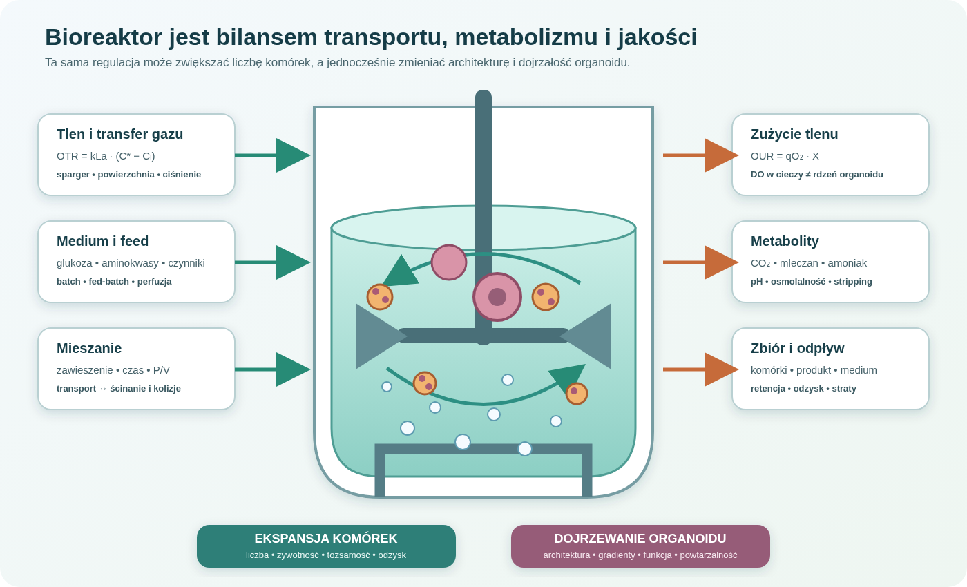 Bioreaktor jako bilans: mieszanie i gazowanie dostarczają tlen oraz składniki, komórki zużywają je i wytwarzają CO₂, mleczan i ciepło, a perfuzja wymienia medium. Dwa osobne wyniki to ekspansja komórek oraz dojrzewanie organoidu; ten sam parametr procesu może wspierać jeden cel i ograniczać drugi.
