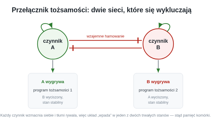 Dwa czynniki, które wzmacniają siebie i tłumią rywala, tworzą przełącznik. Układ „wpada” w jeden z dwóch trwałych stanów — to źródło komórkowej pamięci.
