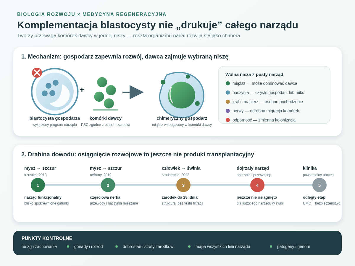 Komplementacja blastocysty ma trzy warstwy. Komórki dawcy wprowadza się do zarodka gospodarza z genetycznie opróżnioną niszą. Przewaga dotyczy jednak konkretnej linii, podczas gdy naczynia, zrąb, nerwy i odporność mogą pozostać mozaikowe. Wyniki przechodzą od funkcjonalnych narządów mysz–szczur do wczesnego ludzkiego śródnercza w zarodku świni, a nie do gotowego narządu klinicznego.