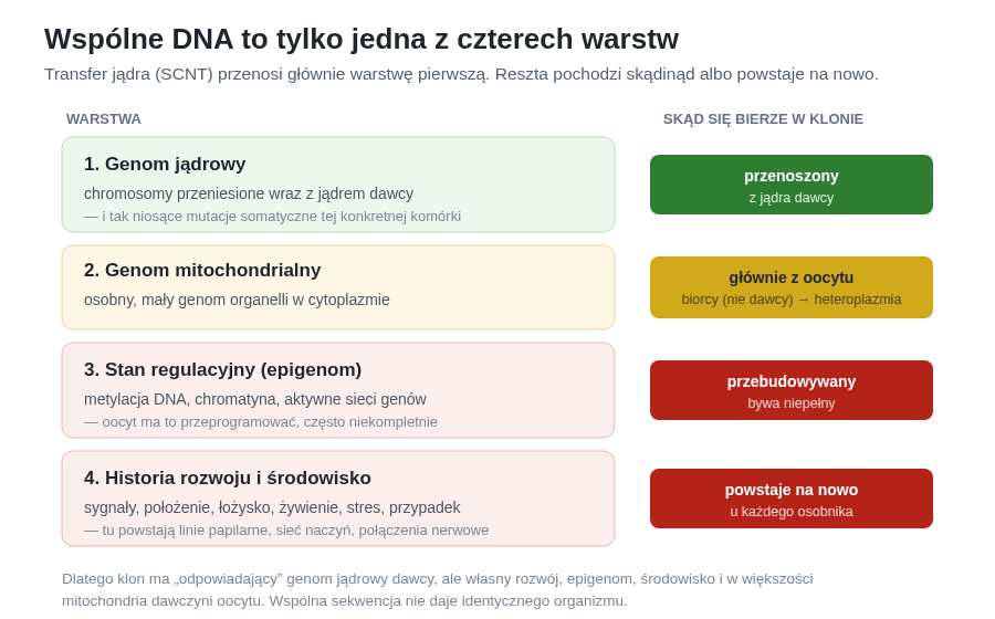 Klonowanie przez transfer jądra kopiuje przede wszystkim genom jądrowy. Trzy pozostałe warstwy pochodzą z oocytu biorcy, są przebudowywane albo powstają na nowo podczas rozwoju.