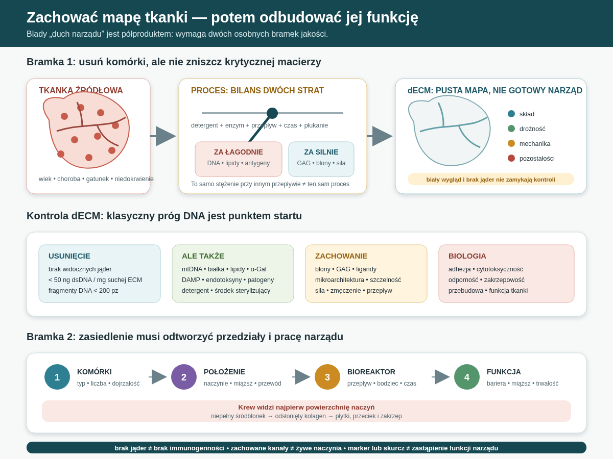 Odkomórkowienie jest bilansem strat: trzeba usunąć komórki, DNA, lipidy i antygeny, nie niszcząc krytycznej architektury, składu oraz mechaniki. Po zasiedleniu ocenia się nie tylko obecność nowych komórek, lecz ich położenie, barierę naczyniową, funkcję miąższu i trwałość podczas przepływu.