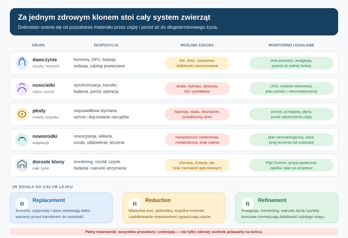 Pełny bilans dobrostanu SCNT obejmuje dawczynie oocytów i komórek, nosicielki, płody, noworodki oraz dorosłe klony. Dla każdej grupy trzeba zdefiniować ekspozycję, możliwą szkodę, monitoring, interwencję i punkt zakończenia. Replacement, reduction i refinement działają na całym lejku, a nie tylko na odsetku blastocyst.