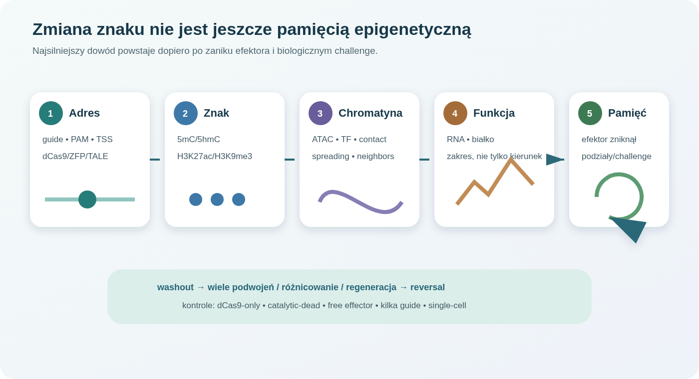 Edycja epigenomu może zakończyć się na przejściowym zajęciu locus, utworzyć lokalny znak i zmianę ekspresji albo zbudować pamięć utrzymywaną po zaniku efektora. Każdy poziom wymaga odrębnego dowodu.