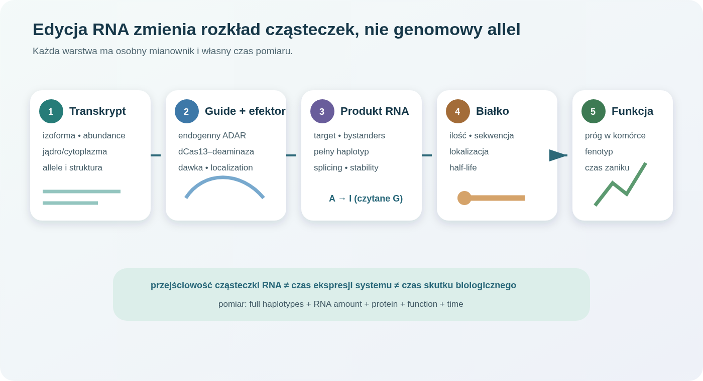 Edycja RNA działa na populacji transkryptów: guide tworzy strukturę rekrutującą endogenny lub dostarczony efektor, powstaje rozkład edytowanych cząsteczek, a funkcjonalny wynik zależy od izoformy, czasu, białka i progu w komórce.
