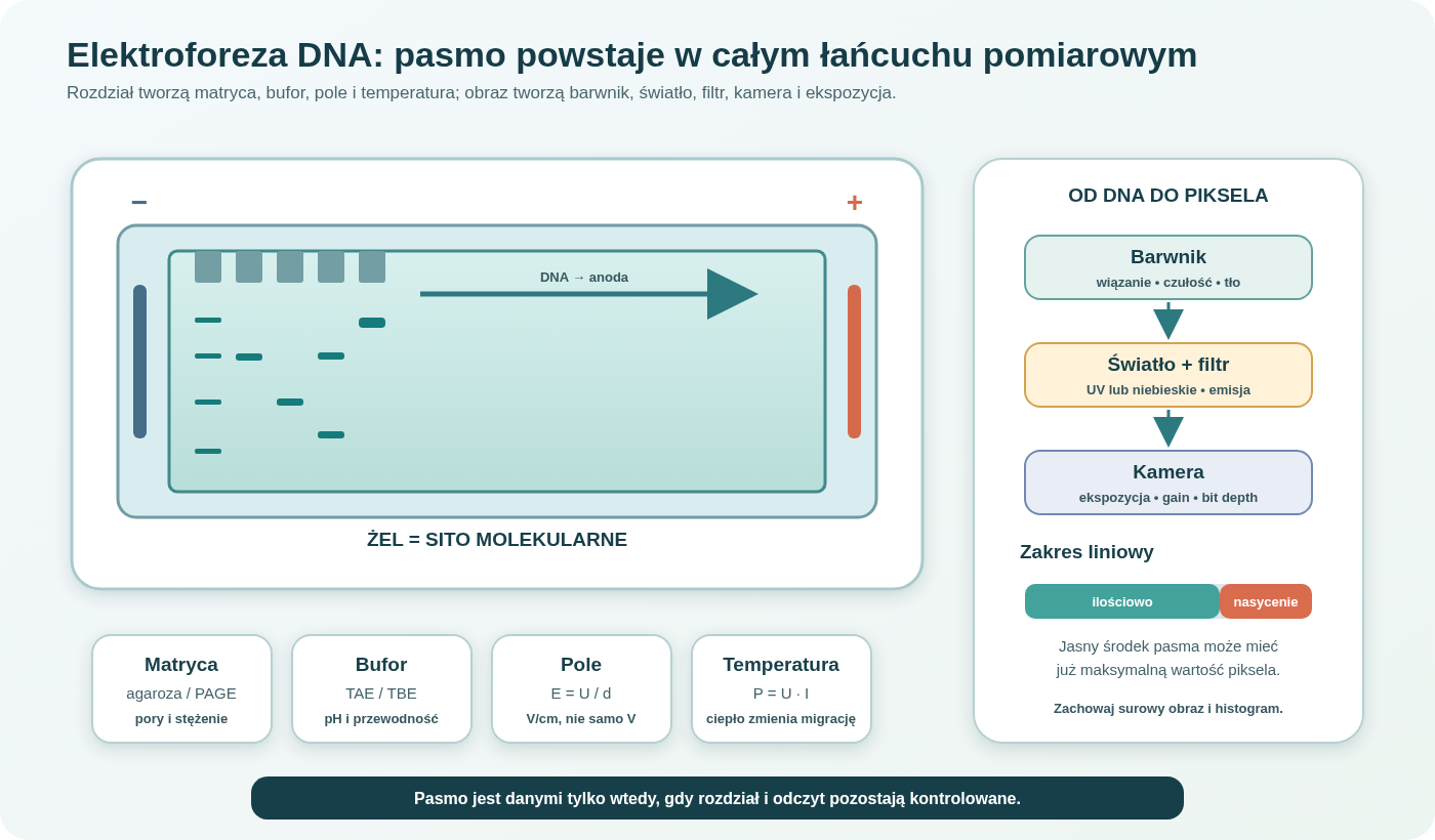 Łańcuch pomiarowy elektroforezy DNA: ujemnie naładowane DNA migruje przez pory żelu do anody; rozdział zależy od matrycy, buforu, pola i temperatury; barwnik oraz źródło światła tworzą sygnał, a kamera i ekspozycja decydują, czy pasmo pozostaje w zakresie liniowym.