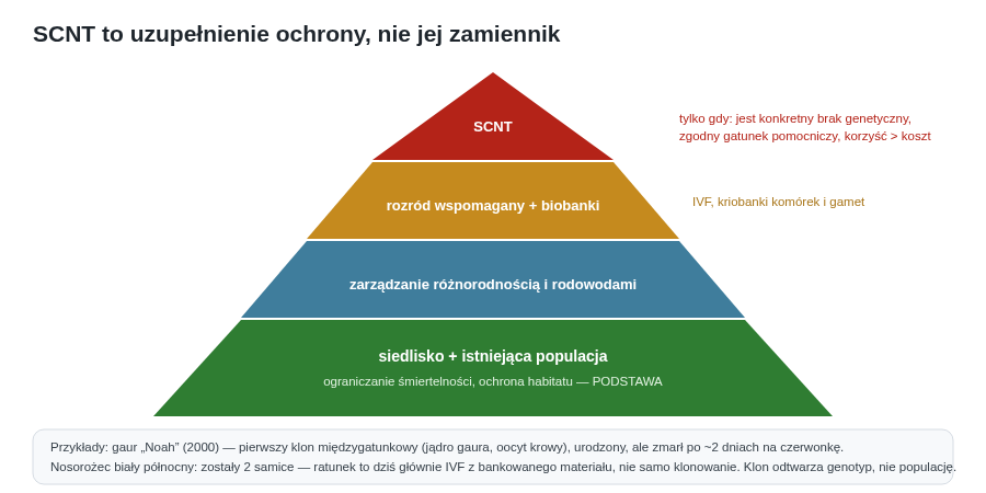 Ochrona gatunku to piramida: u podstawy siedlisko i populacja, wyżej zarządzanie różnorodnością i biobanki. SCNT jest na samym szczycie — narzędziem stosowanym tylko wtedy, gdy odpowiada na konkretny brak genetyczny.