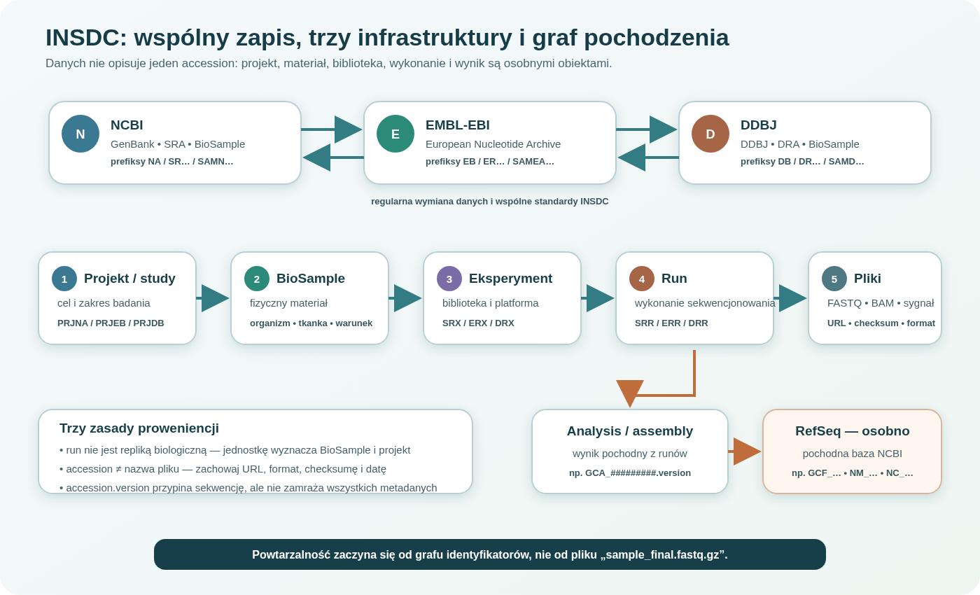 Model ekosystemu INSDC: jeden projekt grupuje próbki, próbka opisuje materiał biologiczny, eksperyment opisuje bibliotekę i platformę, a run wskazuje pliki odczytów; analiza może zawierać złożenie genomu. GenBank/SRA, ENA i DDBJ/DRA wymieniają archiwalne dane, lecz RefSeq pozostaje osobną, pochodną bazą NCBI.