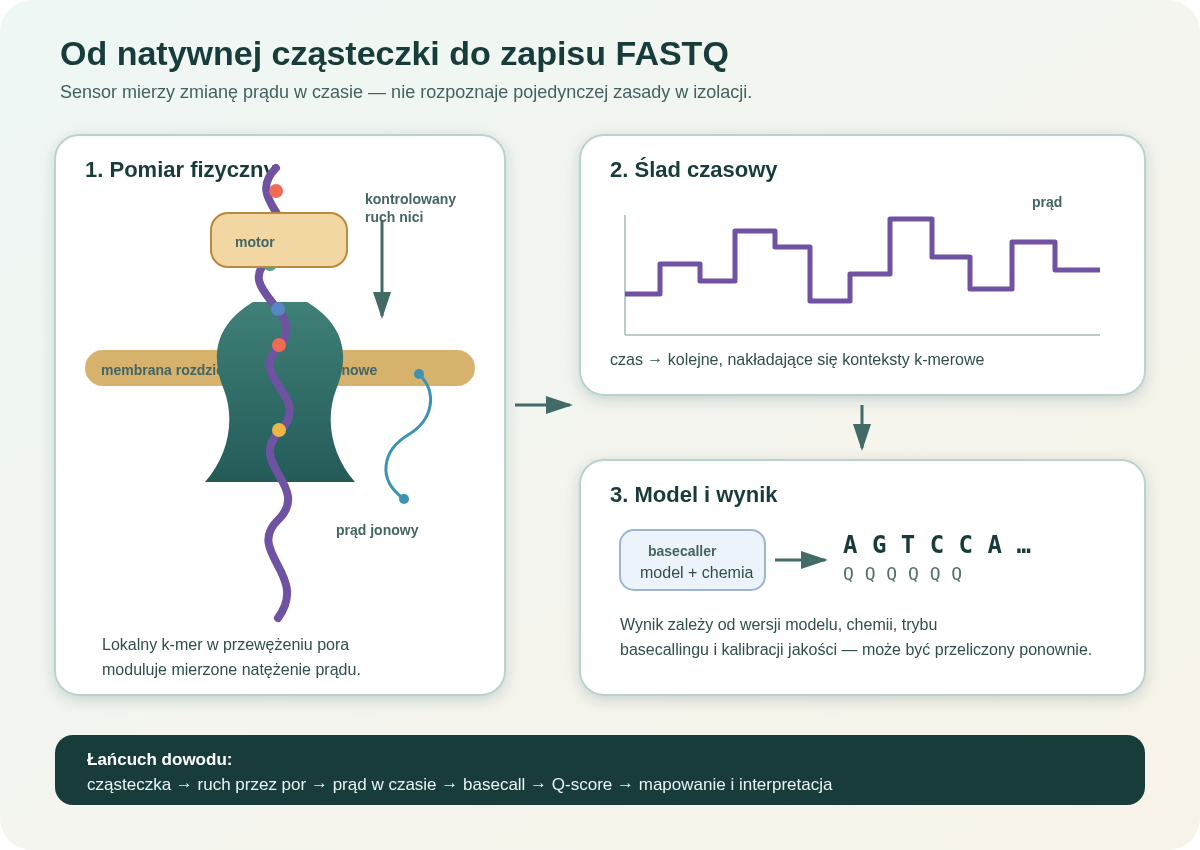 Motor przesuwa natywną nić przez białkowy por, lokalny k-mer moduluje prąd jonowy, a model basecallingu zamienia ślad czasowy na sekwencję i wartości jakości.