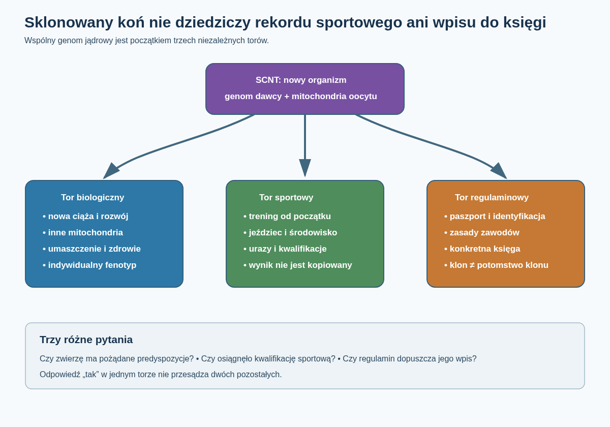 Schemat rozdzielający trzy skutki sklonowania konia: wspólny genom jądrowy, nowy rozwój i trening oraz niezależną decyzję regulaminową. Klon może mieć predyspozycje dawcy, lecz wynik sportowy i status hodowlany powstają osobno.
