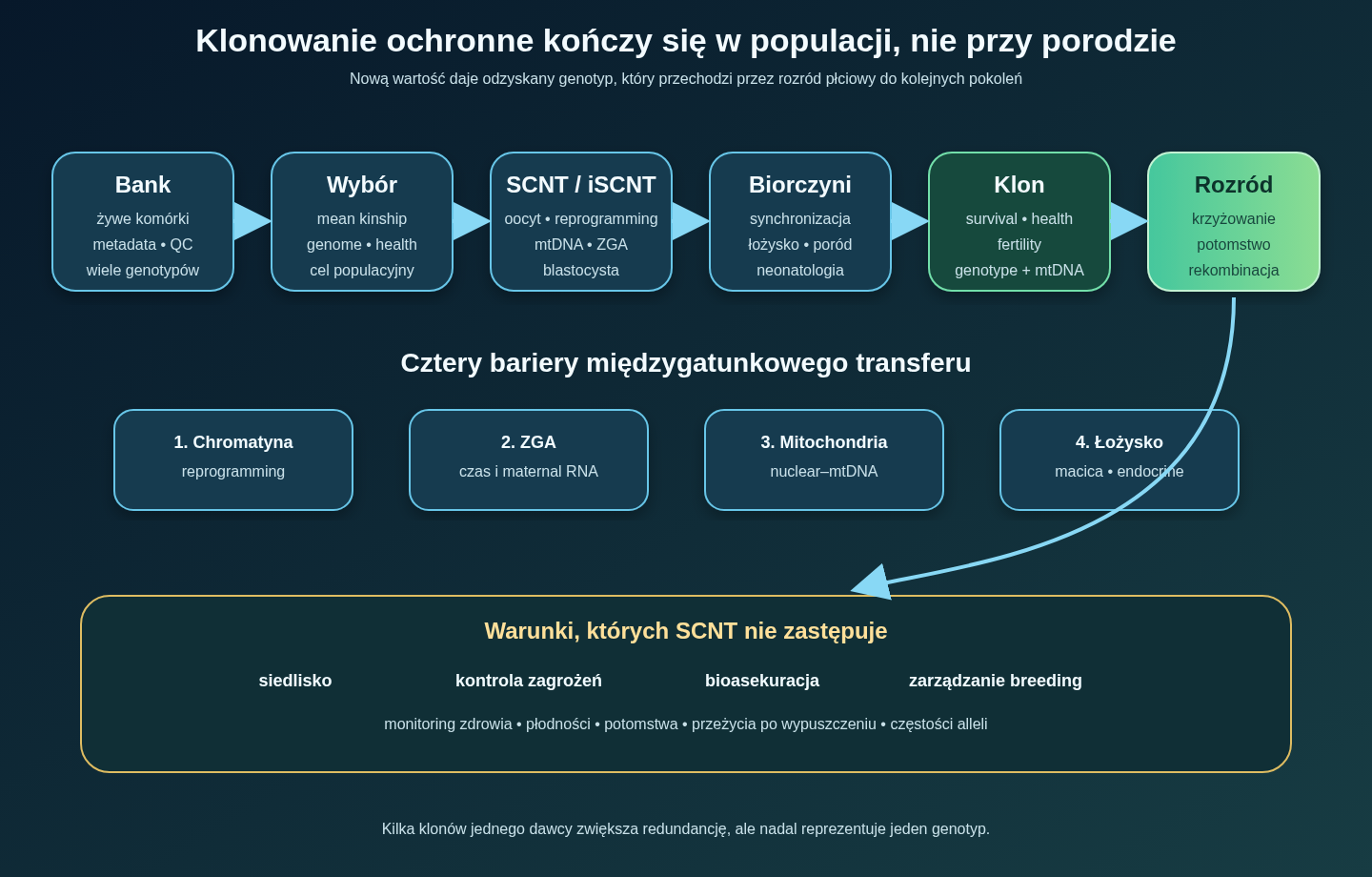 Łańcuch klonowania ochronnego: bank żywych komórek i analiza genetyczna prowadzą przez zgodność oocytu, SCNT, biorczynię i zdrowego płodnego klona do kontrolowanego krzyżowania, potomstwa płciowego oraz mierzalnego wkładu do populacji; siedlisko, bioasekuracja i monitoring obejmują całość.