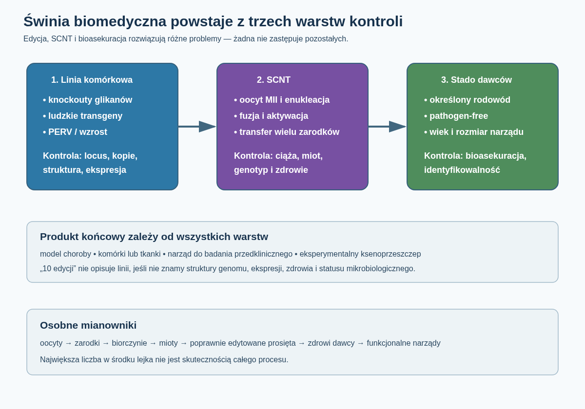 Trzy warstwy budowy świni biomedycznej: sprawdzona linia komórkowa z edycjami, odtworzenie zwierzęcia przez SCNT oraz kontrolowane stado wolne od określonych patogenów. Dopiero ich połączenie daje powtarzalnego dawcę narządu lub model choroby.