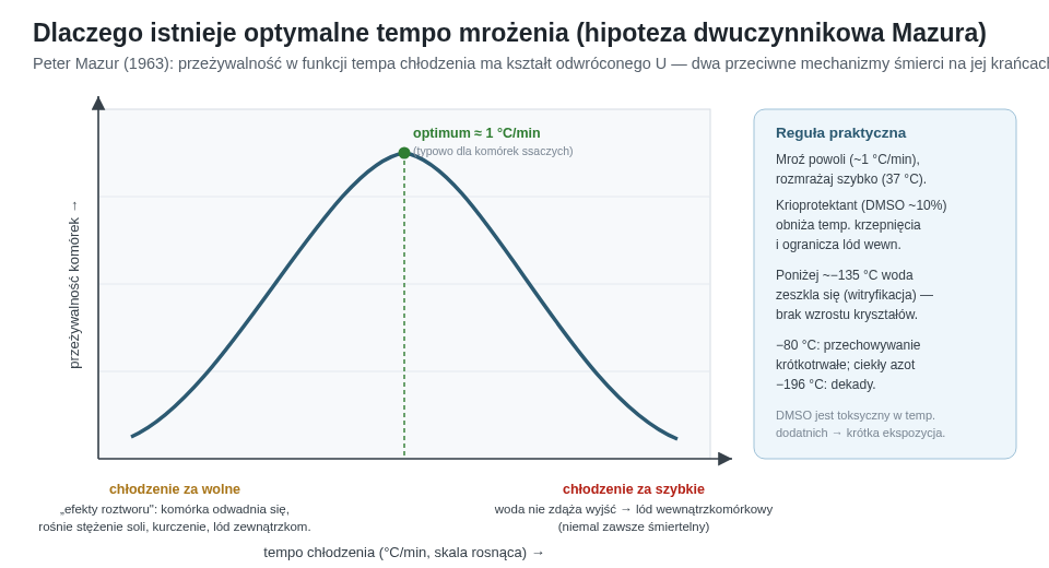 Krzywa przeżywalności w funkcji tempa chłodzenia ma kształt odwróconego U. Przy zbyt wolnym chłodzeniu komórki giną od efektów roztworu i odwodnienia, przy zbyt szybkim — od lodu wewnątrzkomórkowego. Optimum dla wielu komórek ssaczych leży w okolicy 1 °C/min.