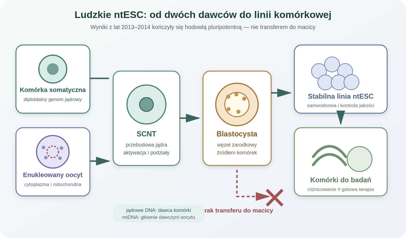 Lejek ludzkich ntESC: komórka somatyczna i enukleowany oocyt prowadzą przez SCNT oraz blastocystę do linii pluripotentnej i komórek do badań. Droga nie obejmuje transferu do macicy. Genom jądrowy pochodzi od dawcy komórki, a mtDNA głównie od dawczyni oocytu.