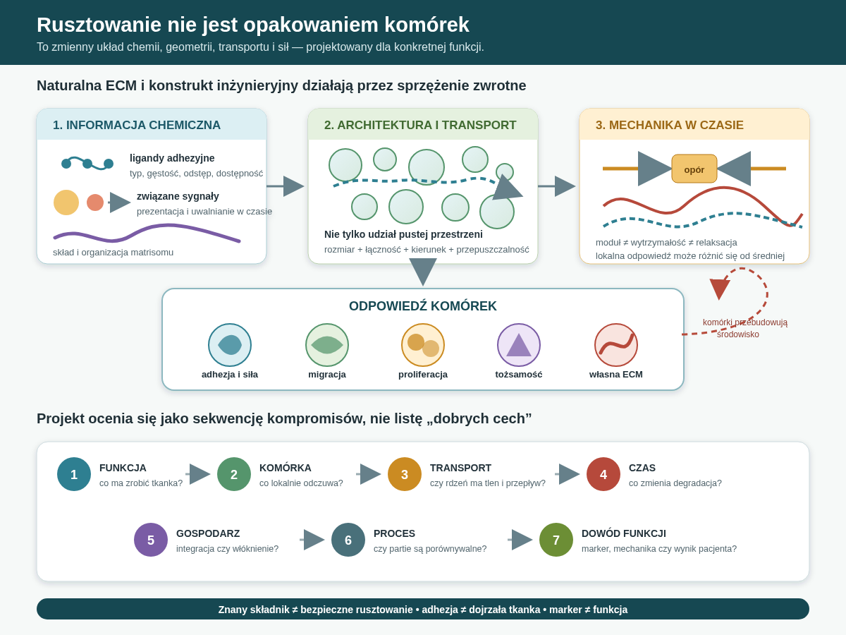 Macierz i rusztowanie trzeba opisywać jako układ sprzężony z komórkami. Ligandy i czynniki wzrostu dostarczają informacji chemicznej, włókna i pory organizują przestrzeń, a mechanika oraz przepływ tworzą sygnały fizyczne. Komórki odpowiadają adhezją, siłą, migracją i wydzielaniem własnej macierzy, przez co środowisko zmienia się w czasie.