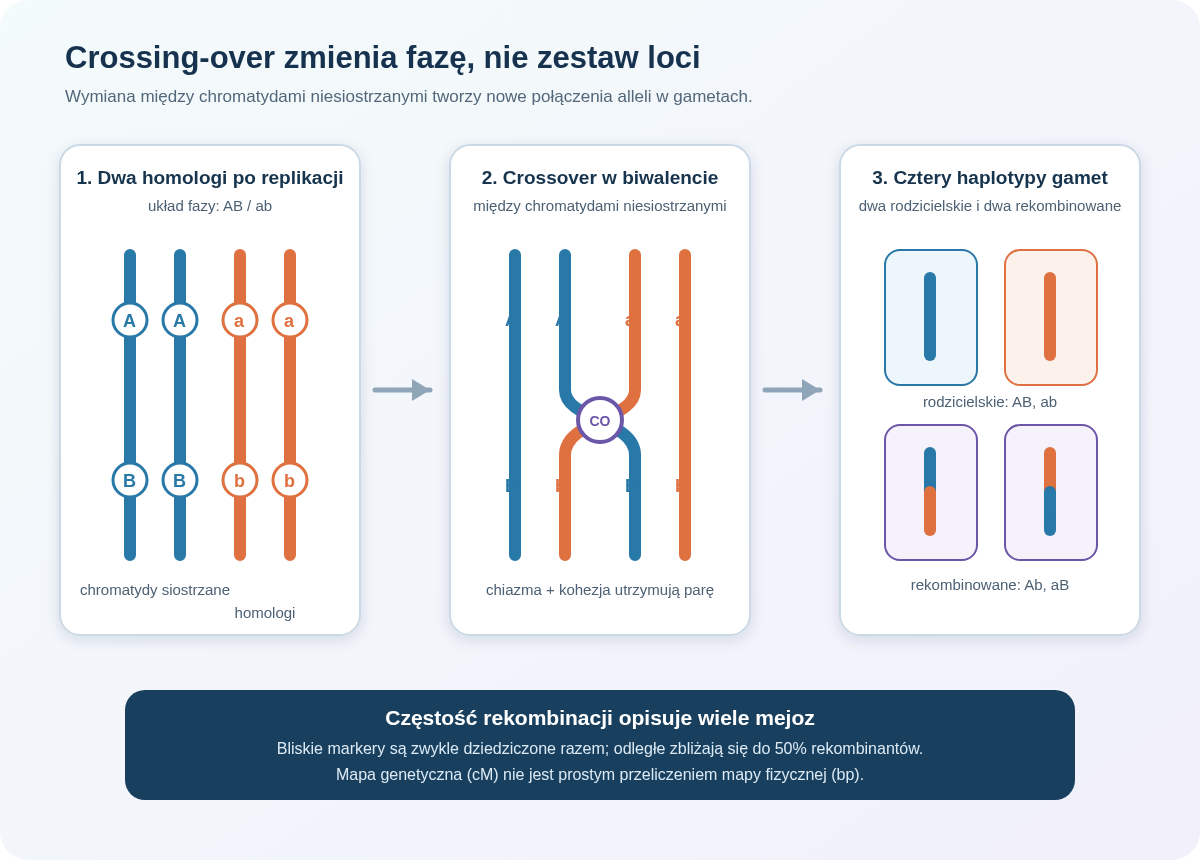 Od pary homologicznych chromosomów i crossing-over między chromatydami niesiostrzanymi do rekombinowanych haplotypów w gametach.