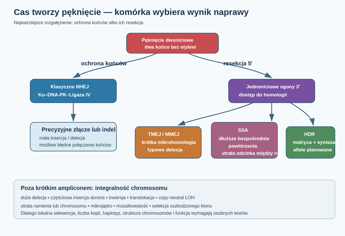 Jedno pęknięcie dwuniciowe może zostać połączone przez c-NHEJ, resekowane i naprawione przez TMEJ/MMEJ lub SSA albo wykorzystać matrycę w HDR. Osobny tor pokazuje skutki wykraczające poza mały indel: duże delecje, LOH, translokacje i utratę chromosomu.