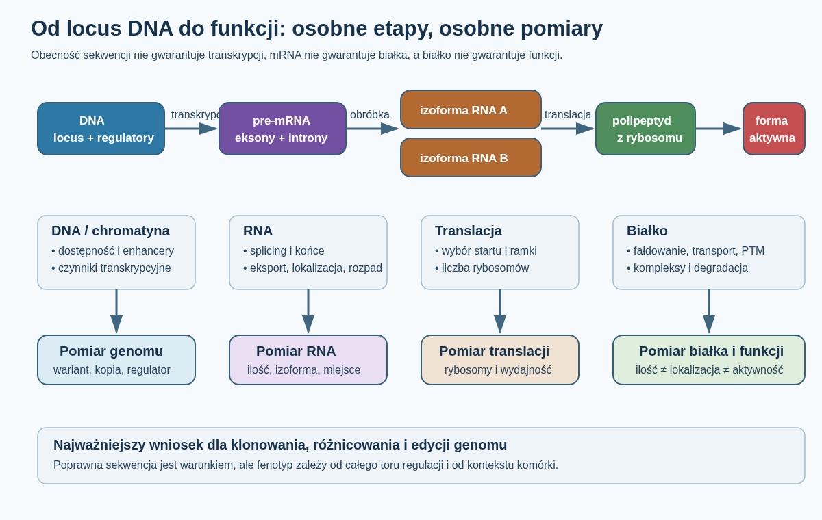Droga od locus DNA przez transkrypcję, obróbkę i kontrolę RNA, translację, fałdowanie i modyfikacje białka aż do funkcji. Każdy etap jest osobnym punktem regulacji i kontroli jakości.