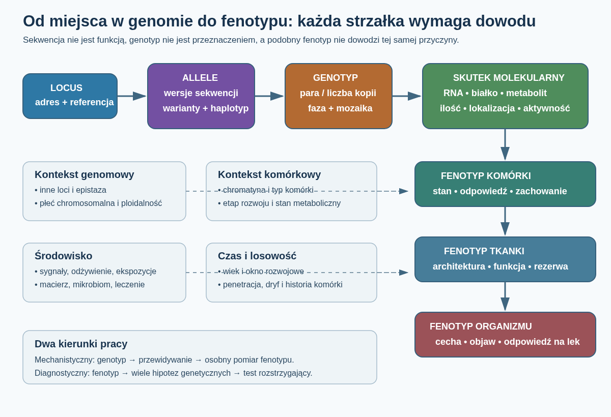 Od miejsca w genomie przez allele, genotyp i skutki molekularne do fenotypu komórki, tkanki i organizmu. Kontekst, środowisko i czas wpływają na przejścia między poziomami.
