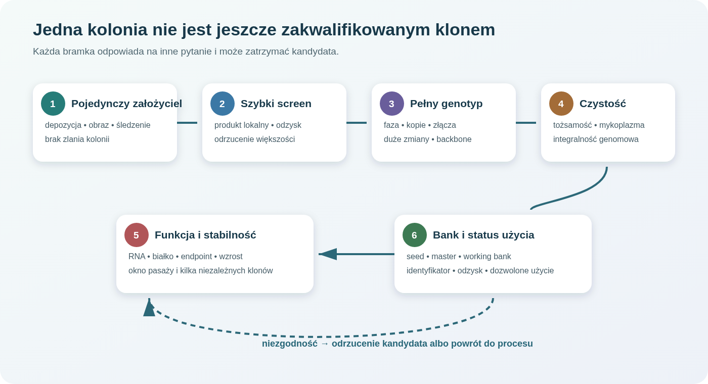 Izolacja zmodyfikowanego klonu prowadzi przez dowód pojedynczego pochodzenia, screen produktu, pełną kwalifikację genotypu, tożsamość i czystość, funkcję oraz stabilność. Bank tworzy się dopiero z linii, która przeszła odpowiednie bramki.
