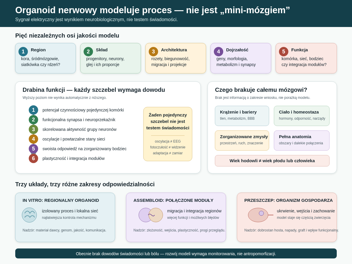 Organoid nerwowy można oceniać na kilku niezależnych osiach: tożsamości regionu, składu, architektury, dojrzałości i funkcji. Kolejne poziomy aktywności — od potencjału czynnościowego po odpowiedź na zorganizowane wejście — nie są równoznaczne ze świadomością. Dolna część pokazuje różnicę między hodowlą in vitro, assembloidem i przeszczepem do mózgu zwierzęcia.