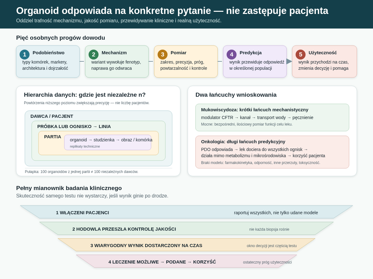 Od pytania biologicznego do korzyści klinicznej prowadzi kilka osobnych etapów walidacji. Jednocześnie dane mają strukturę hierarchiczną: studzienki i organoidy nie zastępują niezależnych dawców. Dolny lejek pokazuje pełny mianownik badania klinicznego — także próbki, z których nie udało się uzyskać wyniku na czas.