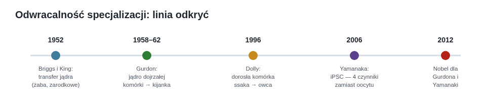 Od transferu jądra u żab po iPSC: kolejne odkrycia dowodziły, że specjalizacja komórki jest odwracalna. Nagroda Nobla z 2012 roku połączyła prace Gurdona i Yamanaki.