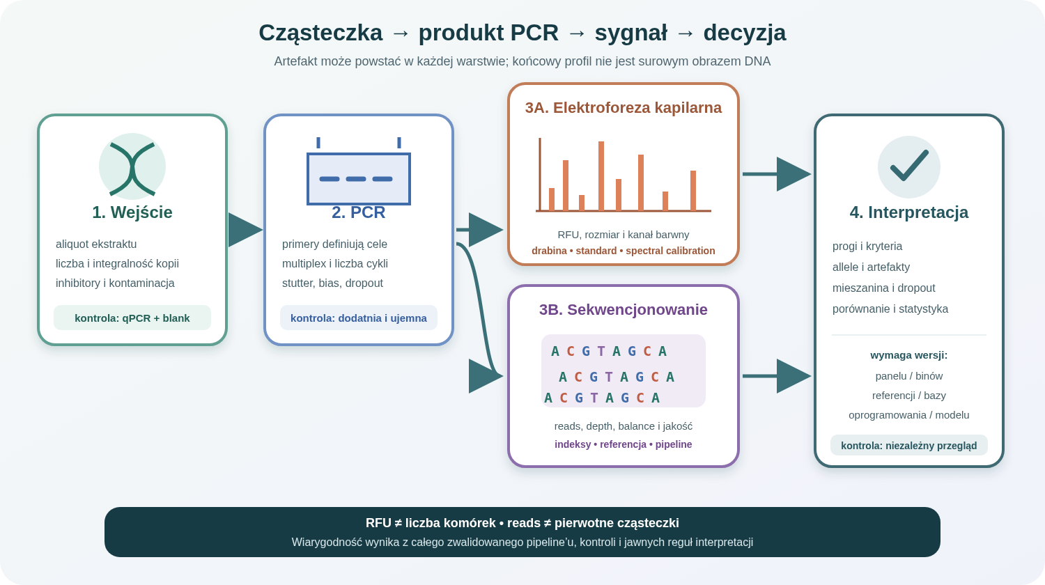 Cztery warstwy toru analitycznego: cząsteczki wejściowe, amplifikacja PCR, detekcja przez elektroforezę kapilarną lub sekwencjonowanie oraz interpretacja. Schemat pokazuje charakterystyczne kontrole i artefakty.