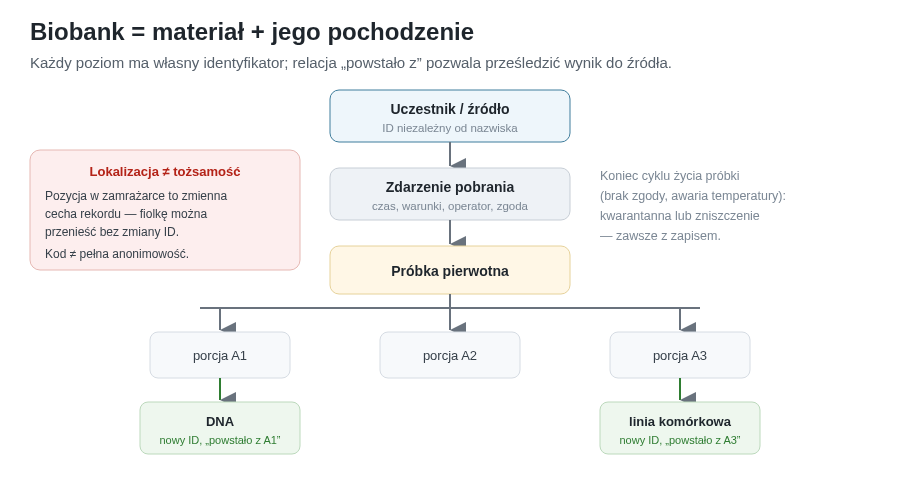 Pochodzenie próbki jako hierarchia: od uczestnika przez zdarzenie pobrania i próbkę pierwotną po porcje i produkty pochodne. Każdy poziom ma własny identyfikator, a lokalizacja jest tylko zmienną cechą rekordu.