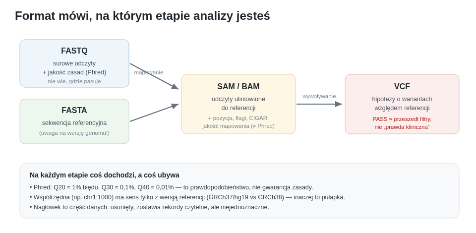 Cztery formaty to cztery etapy tego samego potoku. Surowe odczyty (FASTQ) mapuje się do referencji (FASTA), tworząc uliniowienia (BAM), z których wywołuje się warianty (VCF). Na każdym etapie coś dochodzi, a coś ubywa.