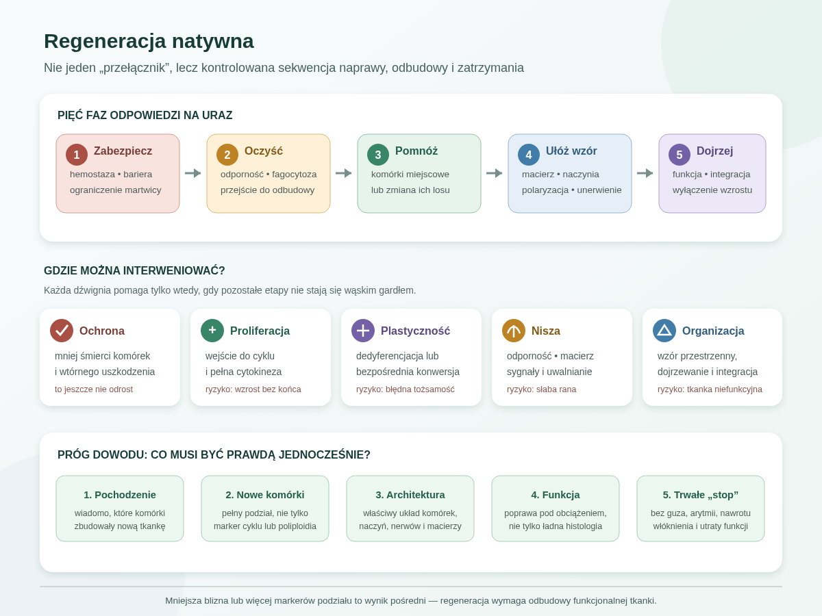 Regeneracja natywna jest sekwencją: zabezpieczenie urazu, oczyszczanie, odbudowa, wzorowanie i dojrzewanie. Terapia może wzmacniać różne etapy, ale musi zachować ich kolejność i przejść pięć bramek dowodu od pochodzenia nowych komórek po trwałą funkcję bez guza i włóknienia.