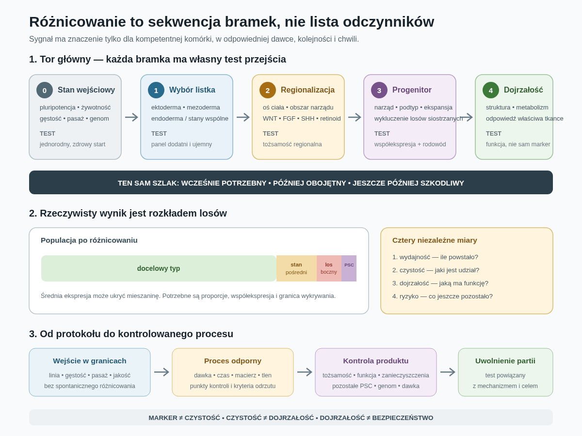 Różnicowanie kierowane jest sekwencją bramek. Stan wejściowy przechodzi przez wybór listka, regionalizację, progenitor i dojrzewanie. Każda bramka ma sygnał, okno czasu, test przejścia i możliwy boczny los; dopiero kontrola całego rozkładu tworzy powtarzalny produkt.