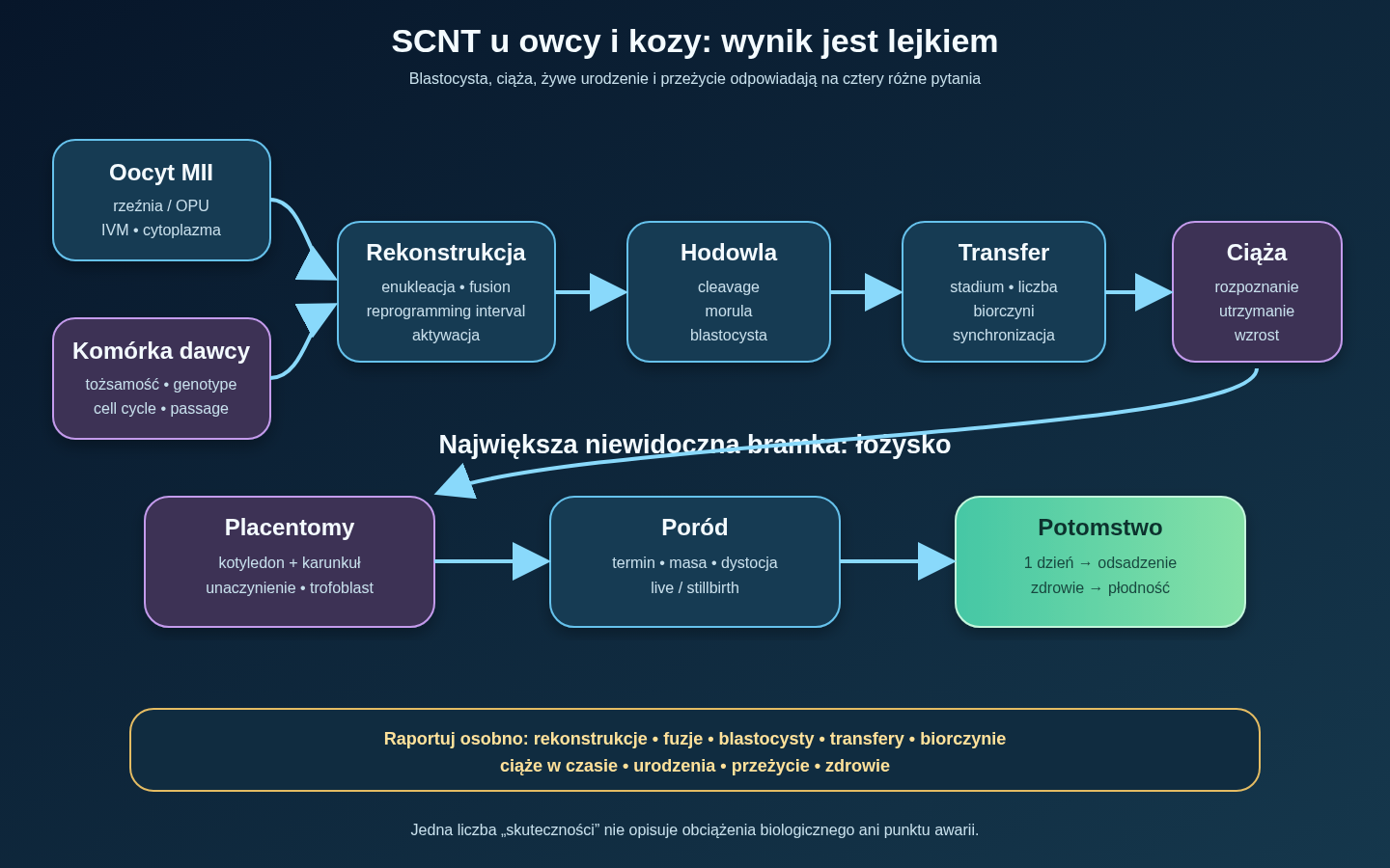 Porównawczy lejek SCNT u owcy i kozy: źródło oocytu, dojrzałość MII, komórka dawcy, enukleacja i fuzja, aktywacja, hodowla, transfer, ciąża z placentomami, poród oraz długoterminowe zdrowie. Każda bramka ma odrębny mianownik.