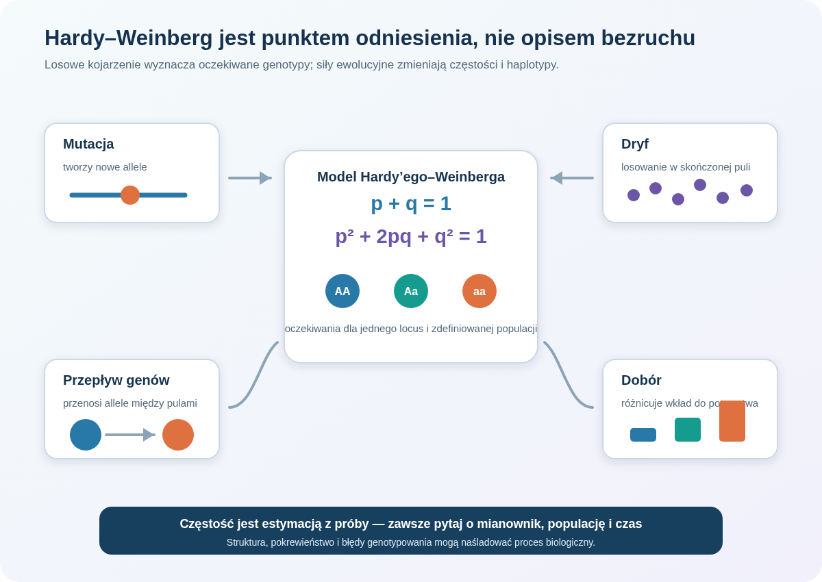 Model Hardy’ego–Weinberga łączy częstości alleli z oczekiwanymi genotypami, a mutacja, dryf, przepływ genów i dobór zmieniają częstości w kolejnych pokoleniach.