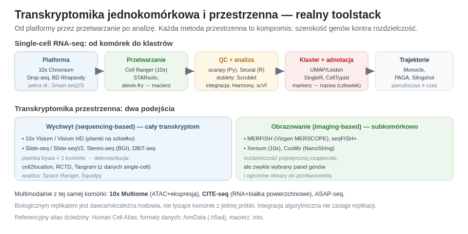 Przykładowy toolstack prowadzi od capture i FASTQ przez macierz, QC, integrację oraz klasteryzację do adnotacji, pseudoczasu i metod spatial. Nazwy programów są wymienne, ale każda decyzja zmienia wynik.