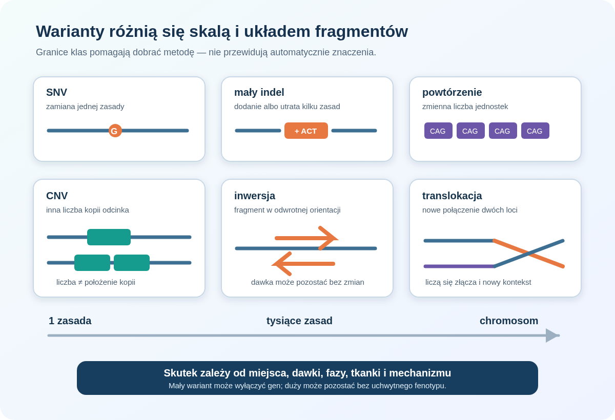 Klasy wariantów genomowych według skali i topologii. Wielkość pomaga dobrać metodę, ale nie wyznacza automatycznie skutku biologicznego.