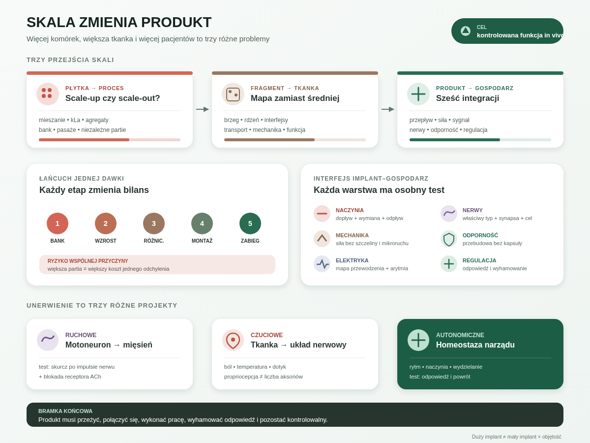Skalowanie przebiega przez trzy przejścia: od płytki do kontrolowanego procesu, od fragmentu do przestrzennie jednorodnej tkanki oraz od produktu do układu sprzężonego z gospodarzem. Integrację trzeba potwierdzić osobno dla przepływu, siły, sygnału, nerwów i odporności.