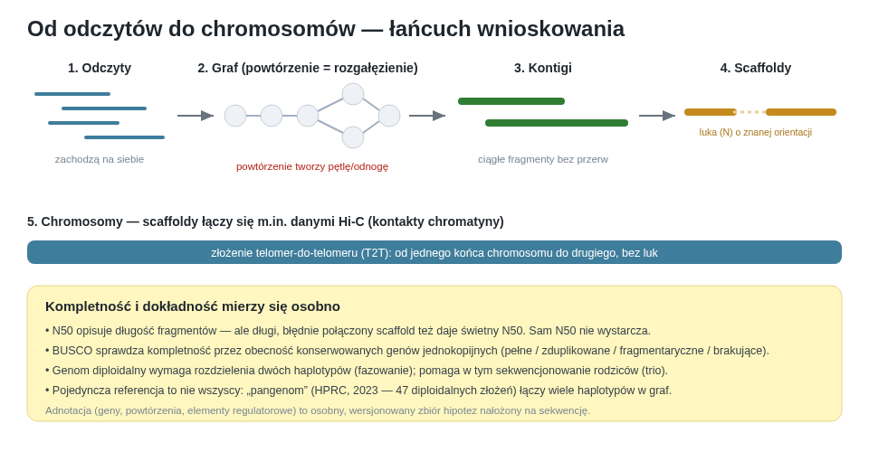 Składanie genomu prowadzi od odczytów przez graf (gdzie powtórzenia tworzą rozgałęzienia), kontigi i scaffoldy po chromosomy. Na końcu kompletność i dokładność ocenia się osobnymi miarami — sam N50 potrafi mylić.