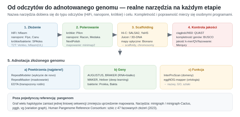 Łańcuch narzędzi od odczytów po adnotowany genom: assembler (hifiasm/Flye/Canu/SPAdes), polerowanie (Pilon/Racon/Medaka), scaffolding Hi-C (SALSA2/YaHS), kontrola jakości (QUAST/BUSCO/Merqury) i adnotacja (RepeatModeler, BRAKER/AUGUSTUS, InterProScan). Nazwę dobiera się do typu odczytów i celu.