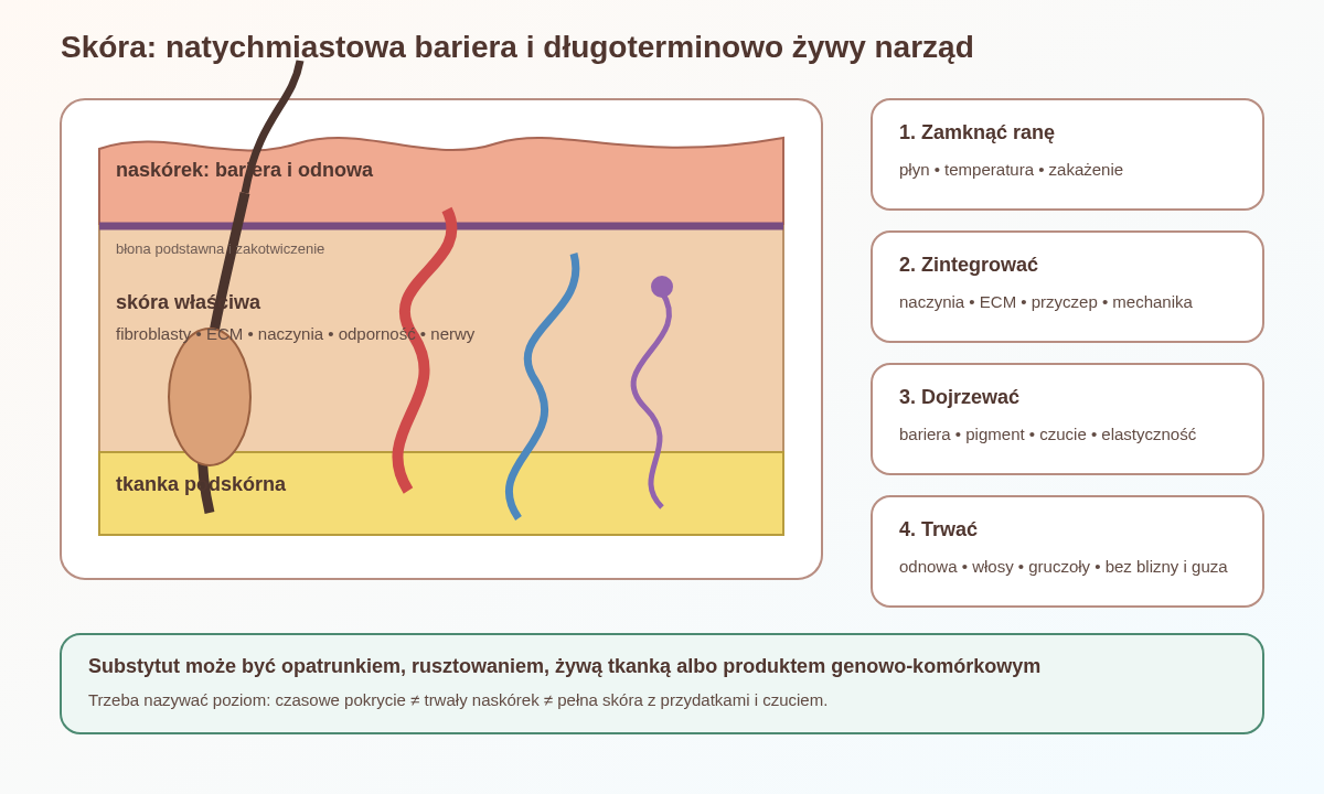 Funkcjonalna skóra łączy odnawiający się, szczelny naskórek z błoną podstawną, unaczynioną skórą właściwą, nerwami i przydatkami. Substytuty mogą odtwarzać tylko wybrane warstwy albo funkcje.