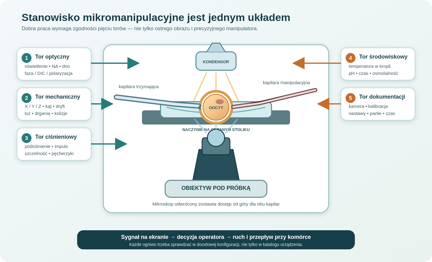 Stanowisko mikromanipulacyjne jako pięć połączonych torów: optyczny, mechaniczny, ciśnieniowy, środowiskowy i dokumentacyjny. Obiektyw mikroskopu odwróconego obserwuje oocyt od dołu, a dwie kapilary wchodzą nad naczyniem: trzymająca stabilizuje komórkę, manipulacyjna wykonuje zabieg.