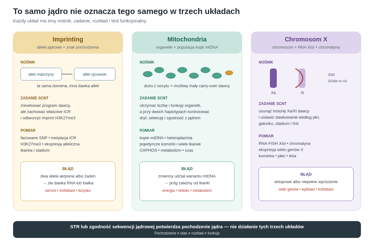 Trzy niezależne układy informacji w SCNT. Imprinting dotyczy pochodzenia rodzicielskiego alleli jądrowych i wymaga zachowania wybranych znaków. Mitochondria pochodzą głównie z oocytu, a mały udział mtDNA dawcy może tworzyć heteroplazmię zmienną między tkankami. Chromosom X wymaga zresetowania stanu dawcy i ponownego ustawienia dawkowania przez Xist. Każdy układ ma osobny materiał, pomiar i typ błędu.