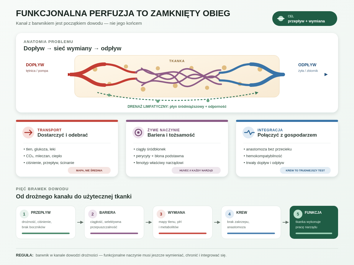 Funkcjonalna perfuzja wymaga nie tylko kanału z przepływem, lecz całego obiegu: dopływu, rozgałęzionej sieci wymiany, odpływu żylnego i drenażu limfatycznego. O jakości konstruktu decydują transport, bariera, zgodność śródbłonka z narządem i zdolność zespolenia z gospodarzem.