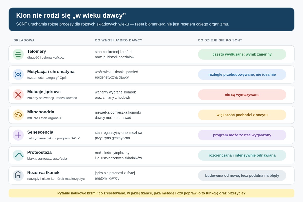Wiek po SCNT nie jest jednym zegarem. Oocyt może przebudować telomery, metylację, proteostazę i część stanu komórkowego, dostarcza większość mitochondriów, lecz nie usuwa mutacji jądrowych komórki dawcy ani automatycznie nie odbudowuje prawidłowej historii wszystkich narządów.