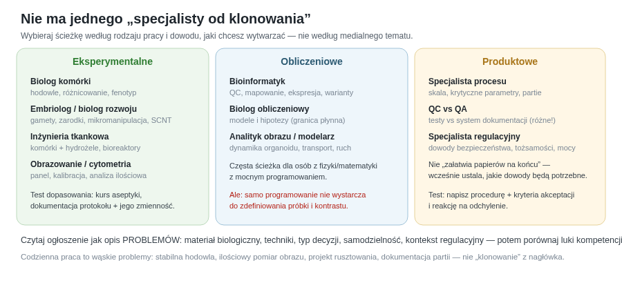 Zawody w tej dziedzinie dzielą się z grubsza na eksperymentalne, obliczeniowe i produktowe. Zamiast szukać „specjalisty od klonowania”, warto dopasować się do konkretnego rodzaju problemów i dowodu, który chce się wytwarzać.